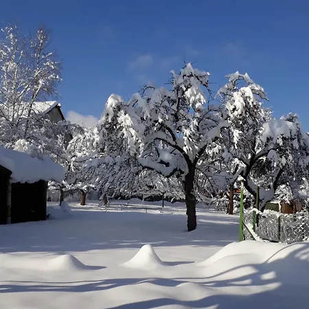 Апартаменты Ochsen, Лёффинген