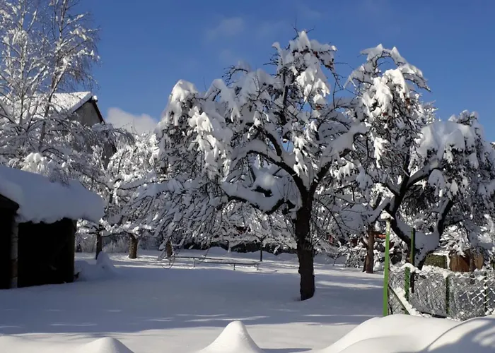 Apartman Ochsen, Löffingen